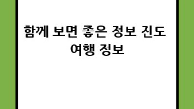 진도군 조도면 대마도리 렌트카 가격 비교 & 예약 가이드